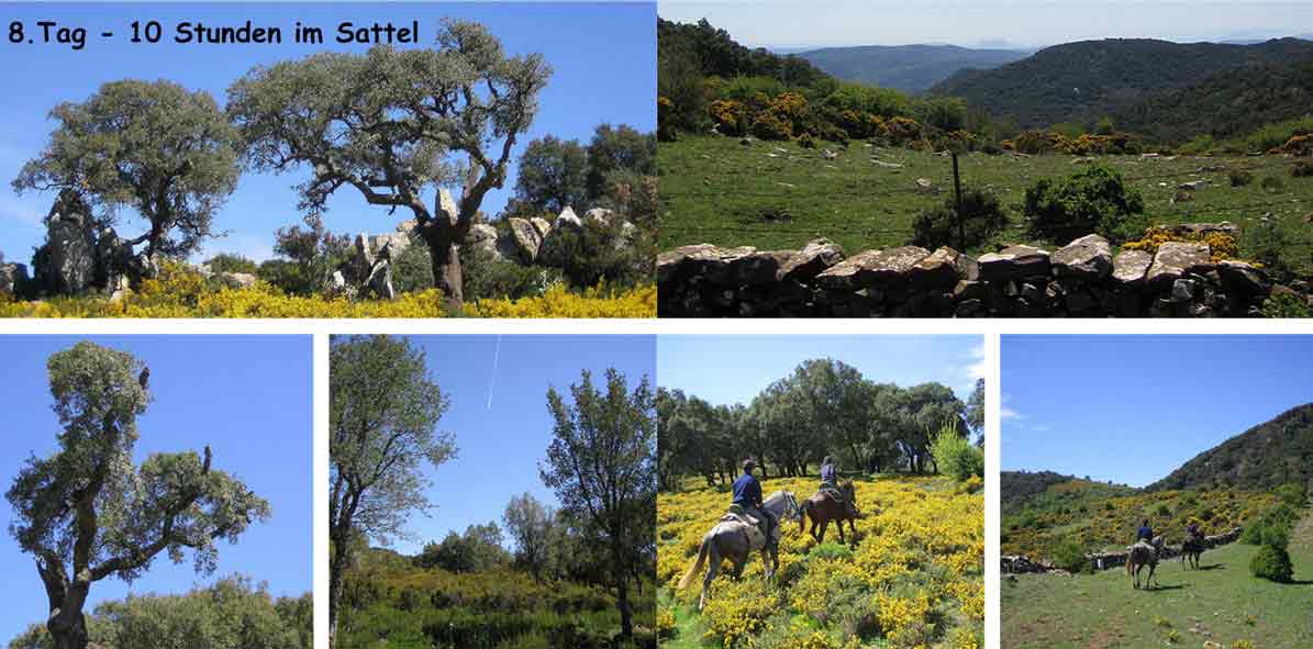 Bildband " Großer Andalusien-Trail" 